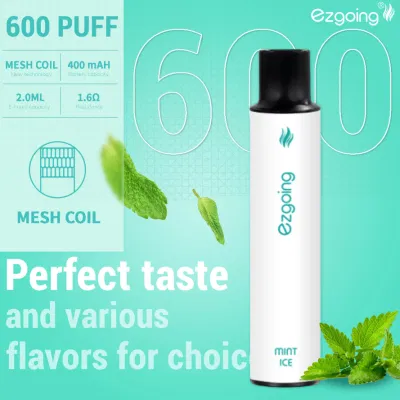 Shenzhen Factory Prices 600 Puffs Atomizer Nicotine Free Mini Disposable Electronic Cigarette Distributor Electric Vape Smoke English Russian Packag Vape