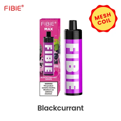 New Arrival Us UK Big 4000puffs Rechargeable Pod Disposable Vape with Good Flavors