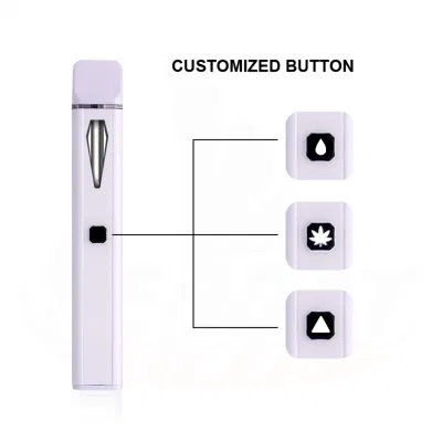 Wholesale Torches Preheat Empty 2ml Hhc Thick Oil Disposable Vape Pen Cookie 2g/2gram Oil Disposable Pod Vapes with USB-C