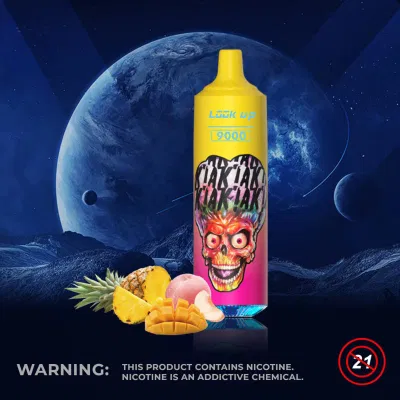 18ml Type-C Rechargeable Battery Randm Tornado 9000 Puffs Wholesale Disposable Vape Ecigarette