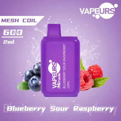 Vapeurs Miracle Mini Square Disposable Vape 600 Puffs 2ml Customized Own Brand