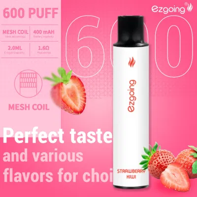 Shenzhen Factory Prices 600 Puffs Atomizer Nicotine Free Mini Disposable Electronic Cigarette Distributor Electric Vape Smoke English Russian Packag Vape
