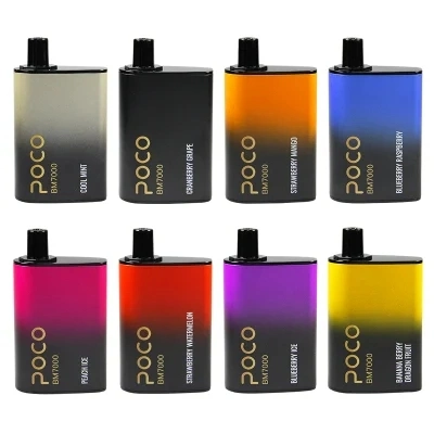 USA/EU Warehouse Randm 7K Puff Bar Poco Bm7000puffs Disposable Vape Type-C Airflow Wholesale Vape Pen Mesh Coil 17ml Juice with 10 Flavors