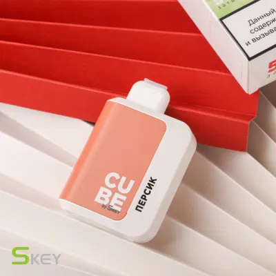 Fashion Disposable Vaporizer Electronic Cigarette Vapes Box Puff Bar 5000puff Disposable Device