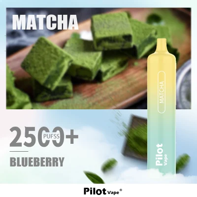 Good Taste Ecig Disposable Vape Pen Pilot Max Vape