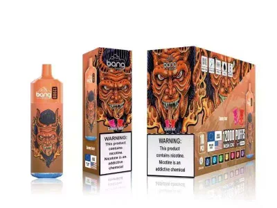 2023 China Factory High Quality Tornado Bang Brand Bang Tornado 12000 6000 7000 9000 10000puffs with LED Bang XXL Bang King Disposable Wholesale Vape