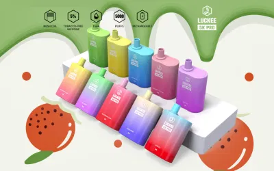 5000 Puffs Disposable Vape Pod Kit with 10 Customized Flavours for Options