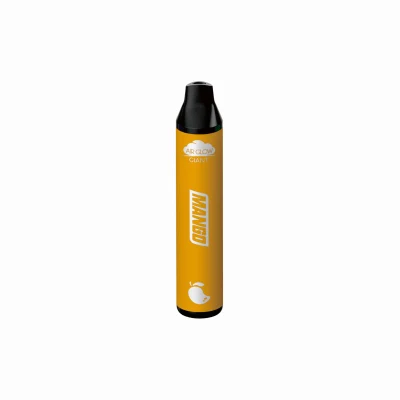 Latest Brand Vape Cheap 25ml Liquid Type-C Charge 5 Different Fruit Flavors Disposable Vape Pen