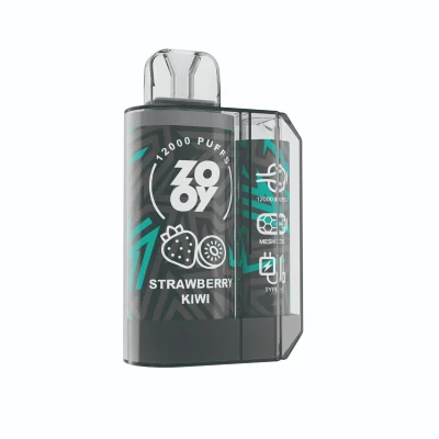 Factory Wholesale 2024 Hot-Selling Popular E Cigarette Zooy Mega 12000 Puffs Great Taste Vape 12K Disposable Pod Vape Wholesale Hookah Price Vapers Desechables
