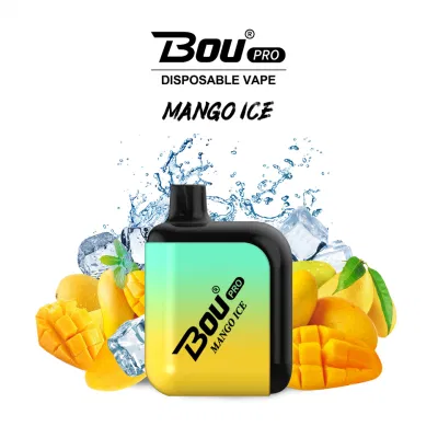 Wholesale Bou Vape E-Cigarette Rechargeable 7000 Puffs Disposable Vape