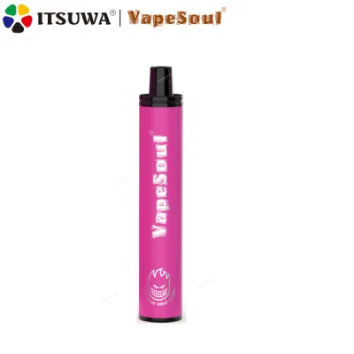 Vapesoul Mesh-800 Wholesale Fashion E-Cigarette 2ml 800puffs 500mAh 1.4ohm OEM ODM Mesh Coil Disposable Vape