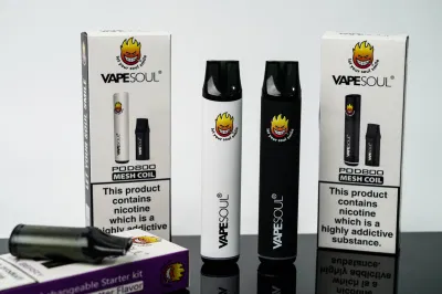 Vapesoul 600 800 Puffs Pod System Mod Kit Rechargeable Hookah Pen Mesh Coil Wholesale E Cigarette