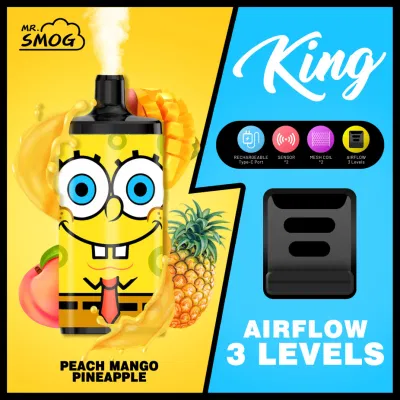 Top Quality Mr Smog King 10000 Puffs Horizontech Wotofo Square Disposable Vape E Hookah Charger