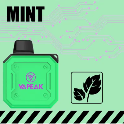 Disposable Vape 800puffs Fast Delivery Shenzhen Ovns Factory