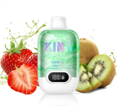 10000 Puffs 2% Nicotine E Liquid Disposable Vape Original Good Taste Fruit Flavor Ecigarette