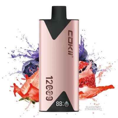 Cube Vape E Cigarette Disposable Electronic Cigarette 12000 Puffs Vape