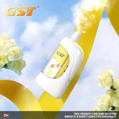 Tdc Most Popular Magic Rechargeable Vape Pod Charging Type C Disposable 5000 Puffs 600 mAh 11ml Wholesale