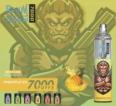 Durable Randm Tornado 7000 Airflow Adjustable Mesh Coil 7000 Puffs Rechargeable Disposable Vape Pod Wholesale I Vape