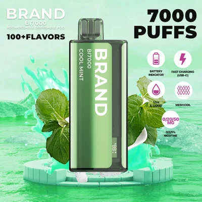  Hidi OEM ODM Private Brand White Label Rechargeable 24 Flavors 7000 Puff Disposable Vape &nbsp;Ice Cream Making