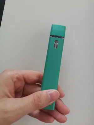 Electronic Cigarette Disposable Empty Vape Pod with 1 Ml Tank Capacity