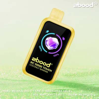 Custom Logo and Packaging Rab Zbood Battery Magnetic Beats Future Bar Imini Slim Unik Lion E Cigarettes RC10000 Puff Smart Touch Dispsoable Vape