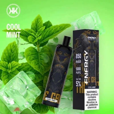 Kk Energy Disposable Cigarettes 5000 Puffs Rechargeable Pod 850mAh 12ml 5% Vape Pen 12 Choice USA Mesh Coil Airflow Control Vape