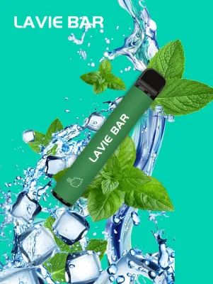 Hotsales Vapes Smok Vape Puffs Vape Vape Smoking Vapes Vapes Juice Vape Puffs Vape Pod 800puffs Disposable Vapes with CE Tpd Certificate