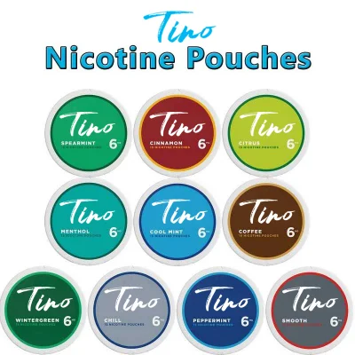 Custom Vaporizer Pen Electronic Cigarette Disposable Snus Tobacco Nicotine Pouch Vape