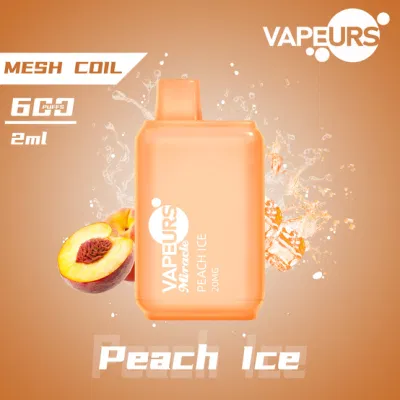 Vapeurs Miracle Mini Square Disposable Vape 600 Puffs 2ml Customized Own Brand
