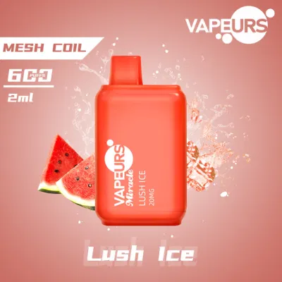 Vapeurs Miracle Mini Square Disposable Vape 600 Puffs 2ml Customized Own Brand