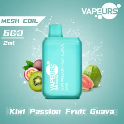 Vapeurs Miracle Mini Square Disposable Vape 600 Puffs 2ml Customized Own Brand