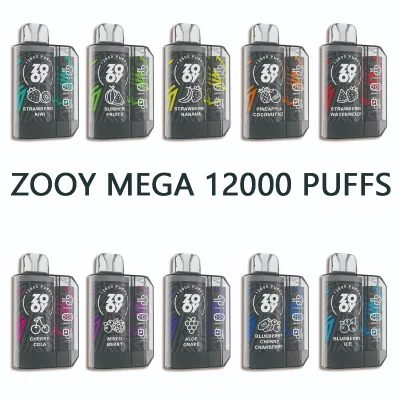 Factory Wholesale 2024 Hot-Selling Popular E Cigarette Zooy Mega 12000 Puffs Great Taste Vape 12K Disposable Pod Vape Wholesale Hookah Price Vapers Desechables