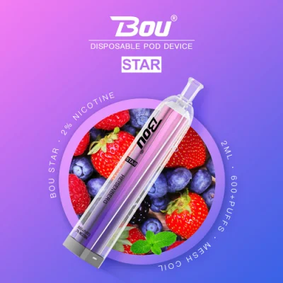 600 Puffs Tpd Grape Blueberry Mango Peach Pineapple Apple Banana Strawberry Raspberry Watermelon Passion Mint Ice Disposable Vape E-Cigarette E-Cig