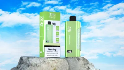 Various Flavor Electronic Cigarette 10000 Puff E Cigarette Digital Screen Zumo Vape