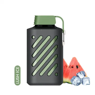 OEM Pod 10000 Puffs Wape Bar Disposable Wholesale I Mini Vape Pan