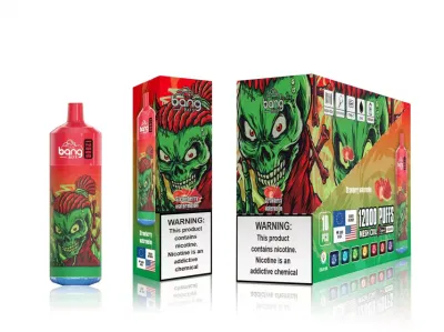 2023 China Factory High Quality Tornado Bang Brand Bang Tornado 12000 6000 7000 9000 10000puffs with LED Bang XXL Bang King Disposable Wholesale Vape