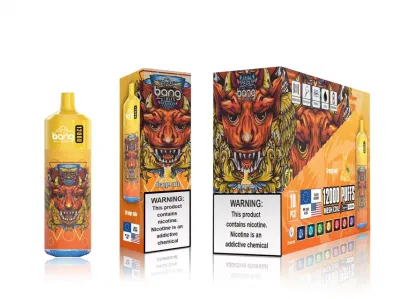 2023 China Factory High Quality Tornado Bang Brand Bang Tornado 12000 6000 7000 9000 10000puffs with LED Bang XXL Bang King Disposable Wholesale Vape