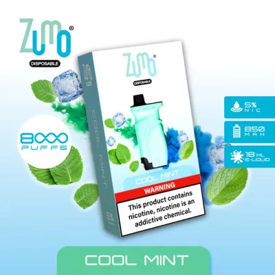 Cool Mint Fruit Flavor 8000 Puffs Disposable Vape E Cigarette Pen
