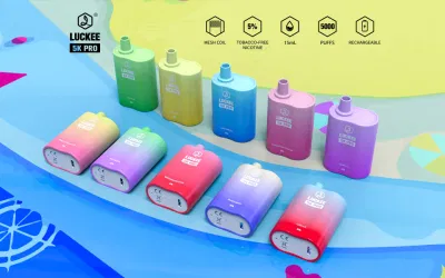 5000 Puffs Disposable Vape Pod Kit with 10 Customized Flavours for Options