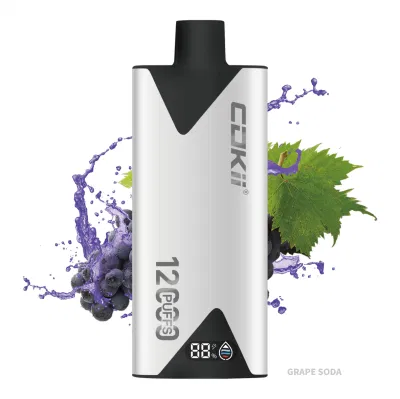 Cube Vape E Cigarette Disposable Electronic Cigarette 12000 Puffs Vape