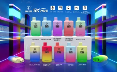 5000 Puffs Disposable Vape Pod Kit with 10 Customized Flavours for Options