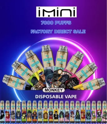 Imini 7000puffs Disposable Electronic Cigarettes Flash Flash Cool Big Smoke Electronic Cigarettes