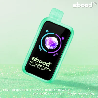 Custom Logo and Packaging Rab Zbood Battery Magnetic Beats Future Bar Imini Slim Unik Lion E Cigarettes RC10000 Puff Smart Touch Dispsoable Vape