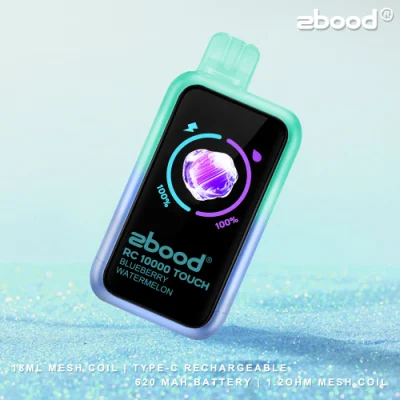 Custom Logo and Packaging Rab Zbood Battery Magnetic Beats Future Bar Imini Slim Unik Lion E Cigarettes RC10000 Puff Smart Touch Dispsoable Vape
