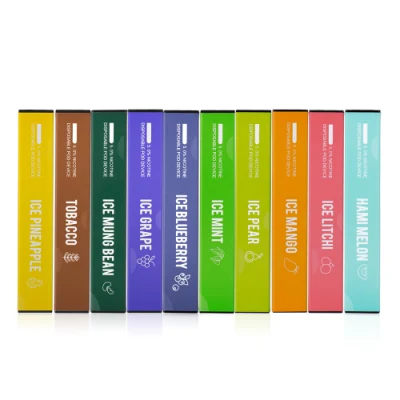 Big Cloud Good Taste 500puffs Vapor Stick OEM Brand Disposable E-Cigarette