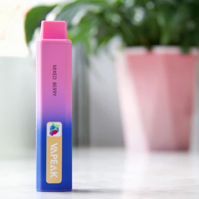Popular Disposable Pods Puff Bar Vape 5000puffs Mint Flavor OEM Service Manufacturer