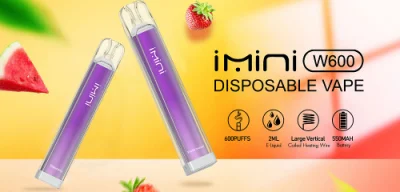 Hot Watermelon Fruit Flavor Disposable Crystal Pen Style Pod Bar 600 700 Puff Empty Extra Vape with Packaging