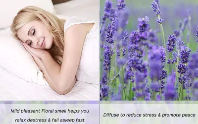 ODM FDA Approved Anti-Aging Perfume Oils Lavender Chemical Cosmetics Plant Extract Hemp Oil Drop