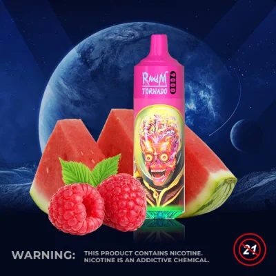 Fashion Original Randm 9000 Puffs Disposable Vape with Rechargeable Battery and 18ml Juice in Stock