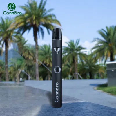 Pre-Heating 400mAh Type-C Rechargeable Disposable Vape Pod Empty 1ml D8 D9 D10 Hhc Thick Oil Ceramic Coil with Child Resistance E Hookah Pen